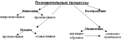 Внимание память воображение. Психологические процессы младшего школьника. Психические процессы в младшем школьном возрасте таблица. Познавательные психические процессы схема. Схема психические процессы младшего школьника.