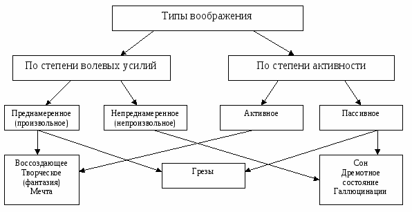 Свойства воображения. Виды воображения схема. Процесс воображения схема. Структура творческого воображения. Познавательные процессы воображение.