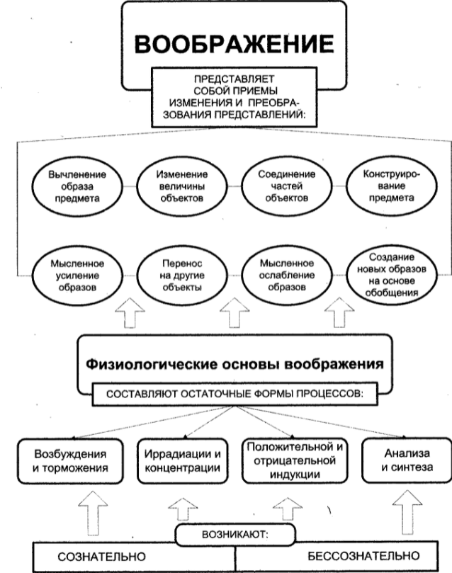 Воображение схема по психологии