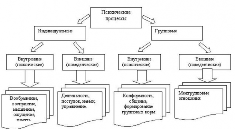 Чувственная картина мира создается такими психическими процессами как