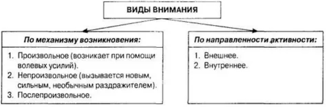 Виды психического процесса внимания. Функции психического познавательного процесса внимание. Познавательные психологические процессы внимание. Внимание как психический процесс. Внимание как познавательный процесс.