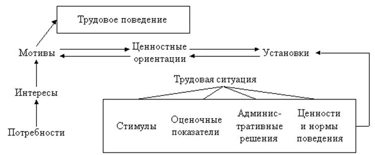 Мотив ориентации. Механизм регулирования трудового поведения работников. Модели трудового поведения. Трудовое поведение. Мотивация трудового поведения.