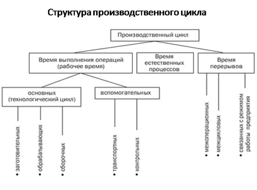 Основные и вспомогательные производственные операции. Структура производственного цикла схема. Понятие структура и Продолжительность производственного цикла. Состав производственного цикла. Производственный цикл-его составляющие.