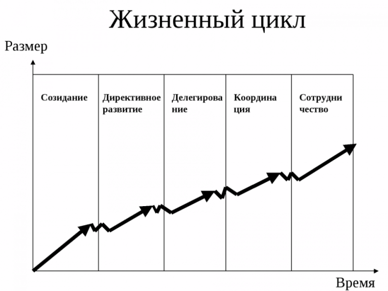 Период окупаемости составляет часть жизненного цикла проекта