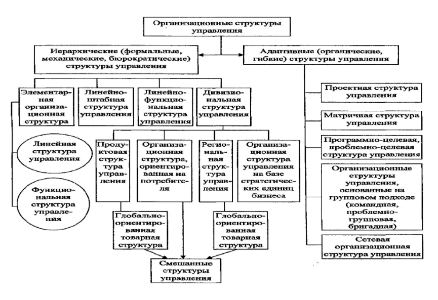 Виды организационных структур управления - Выбор организационной структуры