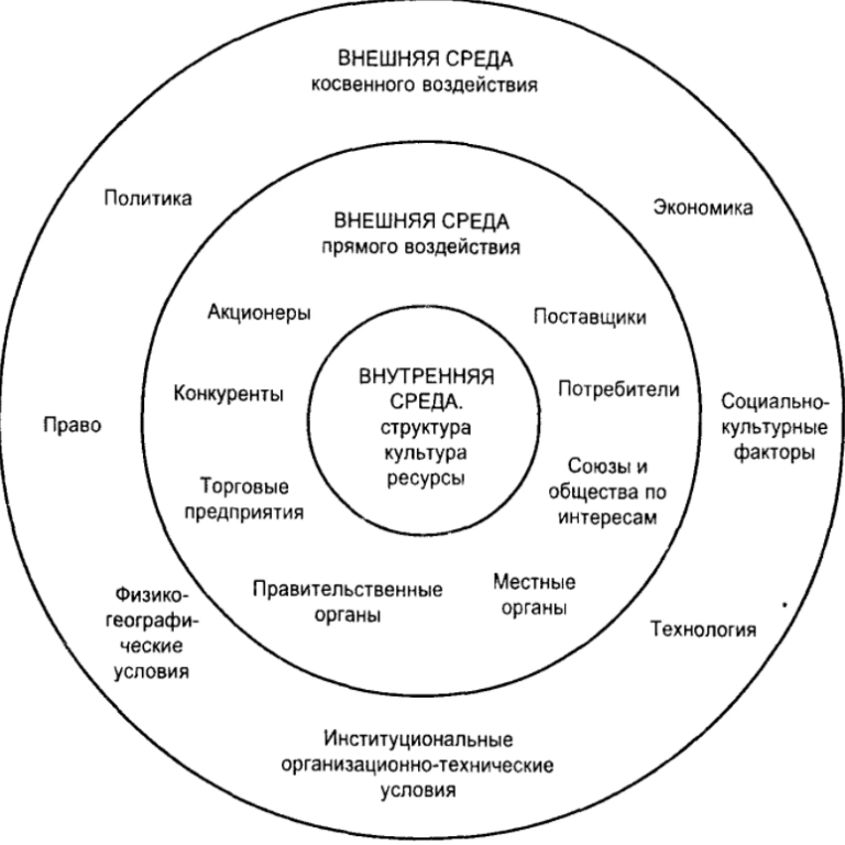 Ближняя среда организации