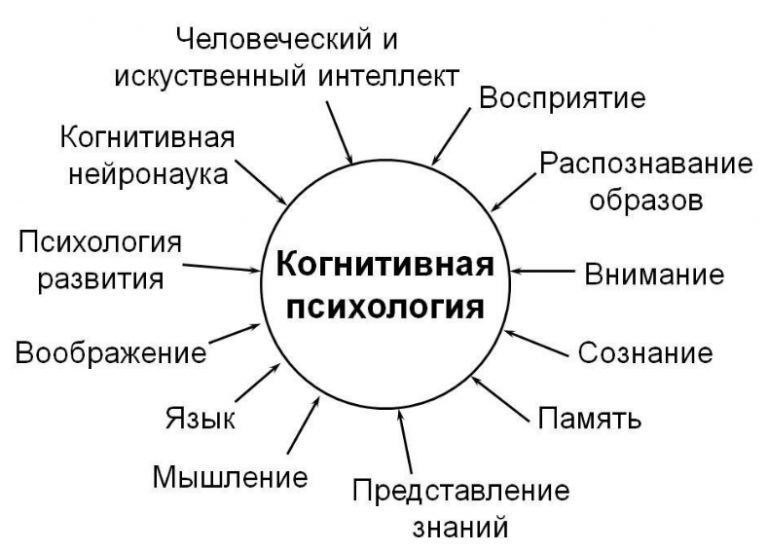 Аспекты внимания. Когнитивная психология это в психологии. Когнитивная психология метод исследования. Когнитивная психология характеристика. Когнитивная схема в психологии.