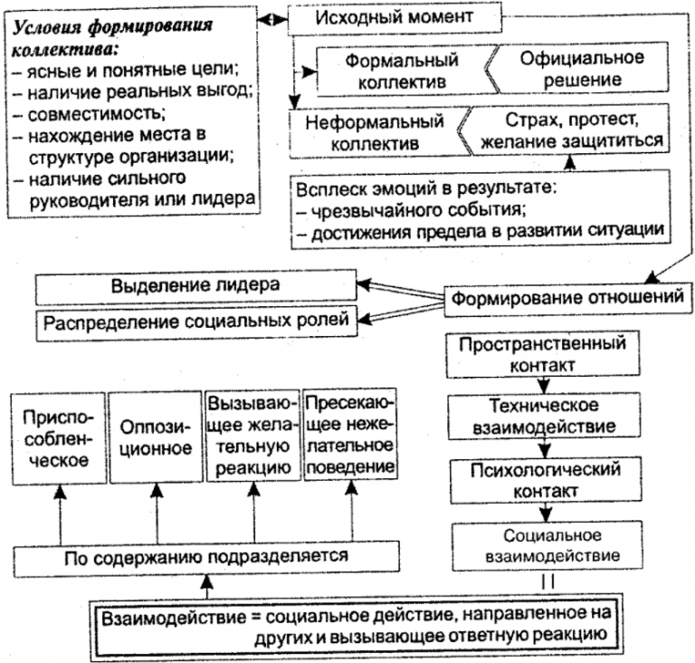 Структура коллектива схема