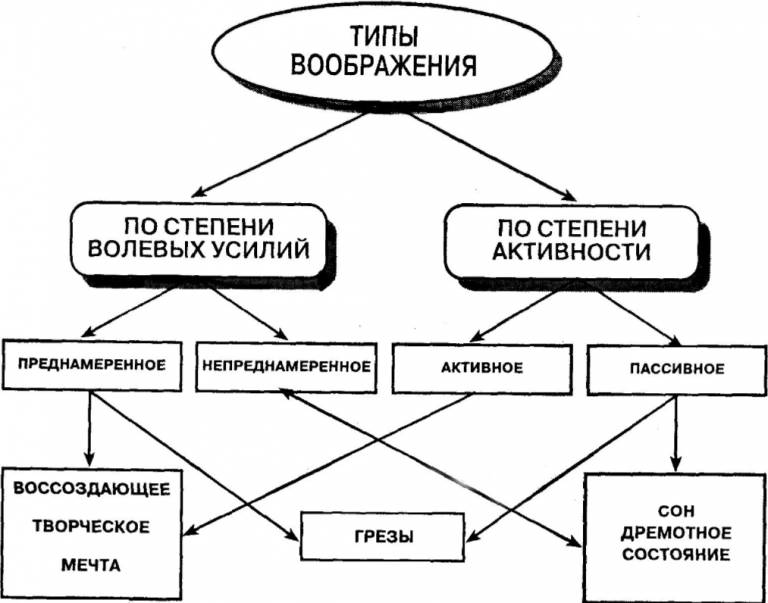 Связь познавательных процессов