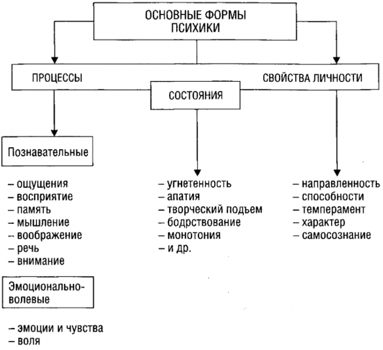 К процессам речи относятся. Схема основные формы проявления психики. Формы проявления психики и их взаимосвязь. Формы проявления психических процессов и их взаимосвязь. Основные формы проявления психики и их взаимосвязь.