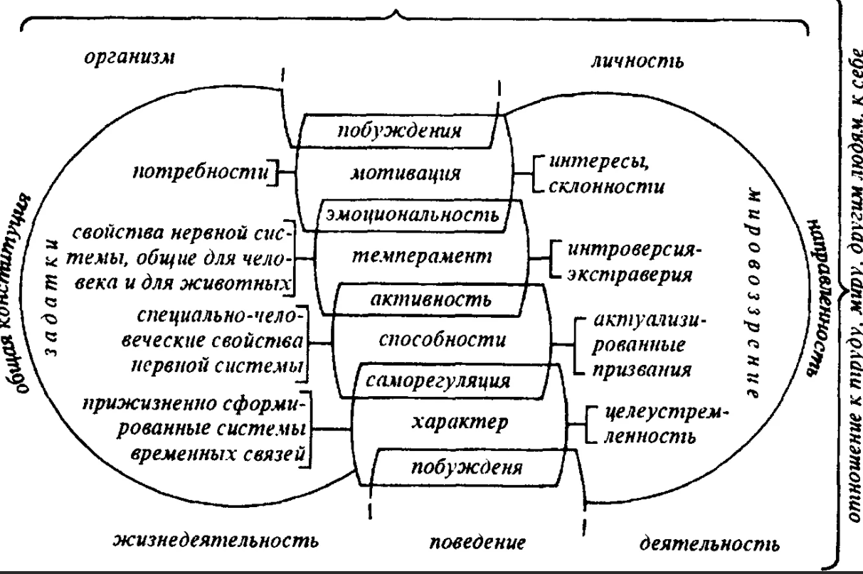 Вольф Соломонович Мерлин, советский психолог, автор теории интегральной индивидуальности - История изучения феномена индивидуальности в философии двадцатого века