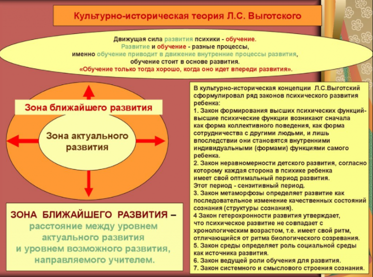 Под чьим руководством изучалось развитие интеллектуал функций и нейродинамические характеристики