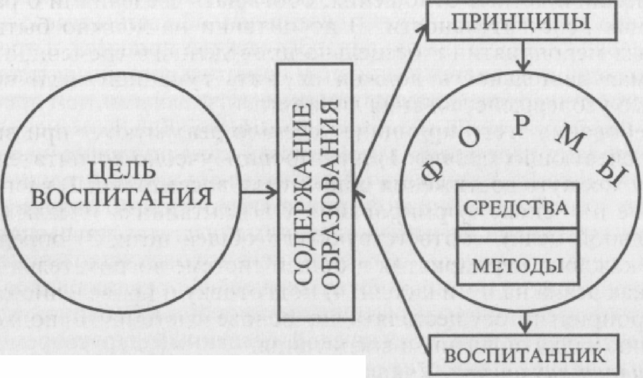 Воспитание схема понятия