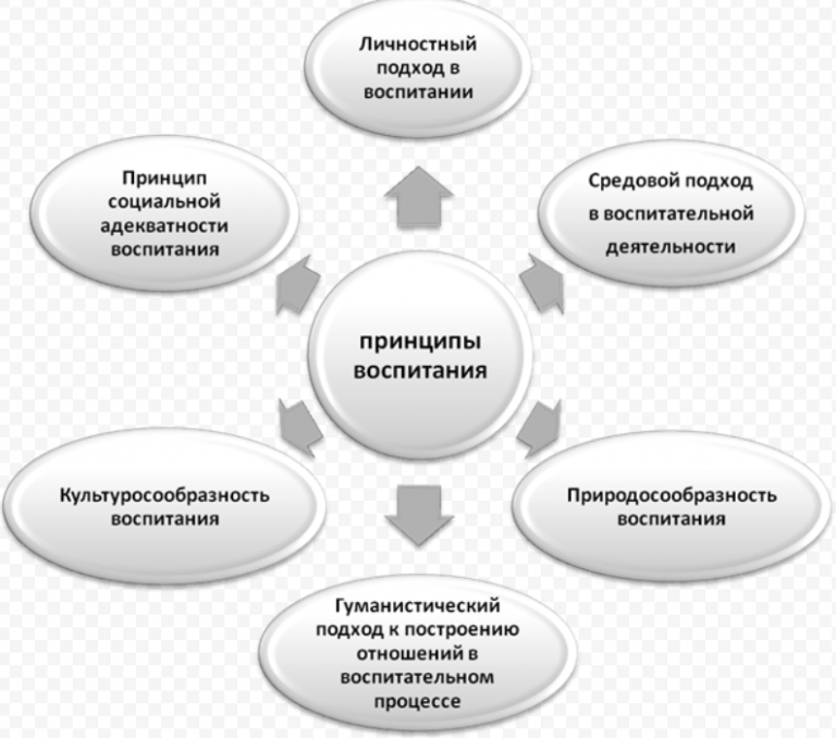 Специфика принципа. Принципы воспитания схема. Принципы воспитания в педагогике схема. Процесс социального воспитания схема. Принципы воспитательной деятельности.