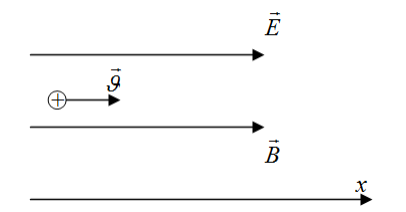 a -частица влетела параллельно одинаково направленным электрическому ( м кВ E  300 ) и магнитному полям ( В  0,3Тл ). Найдите уравнение её траектории. 