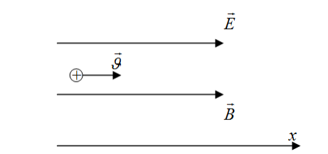   -частица влетела параллельно одинаково направленным электрическому ( м кВ E  300 ) и магнитному полям ( В  0,3Тл ). Найдите уравнение её траектории .