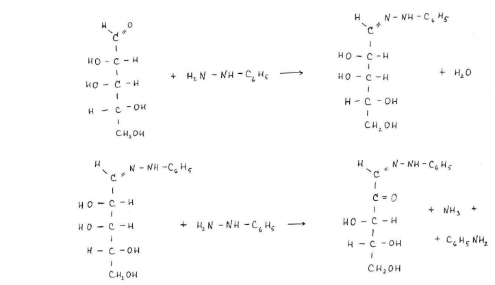 Напишите проекционные формулы Фишера молекулы ликсозы. Определите количество ее оптических изомеров. С помощью формул КоллиТоллен-са и Хеуорса приведите 4 таутомерные циклические формы Dликсозы. Назовите. Приведите схемы получения из ликсозы: а) озазона ликсозы, б) ликсуроновой кислоты, в) О-метил-2,3,4-триметил-α-D-ликсопиранозида. Продукт последней реакции гидролизуйте. Назовите. Какие дисахариды называются восстанавливающими? Приведите перспективную формулу (по Хеуорсу) молекулы целлобиозы. Дайте химическое название. С помощью соответствующих реакций подтвердите, что целлобиоза относится к восстанавливающим дисахаридам. Объясните связь структурных особенностей целлюлозы с ее механическими свойствами и химической устойчивостью. Приведите ее структурную формулу. 