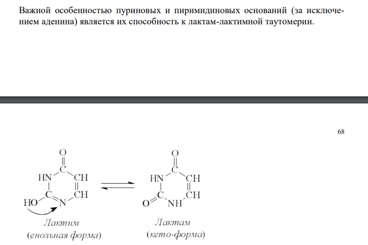  Входящие в состав РНК азотистые основания по химическому строению являются либо производными пурина (пуриновые основания), либо пиримидина (пиримидиновые основания).  