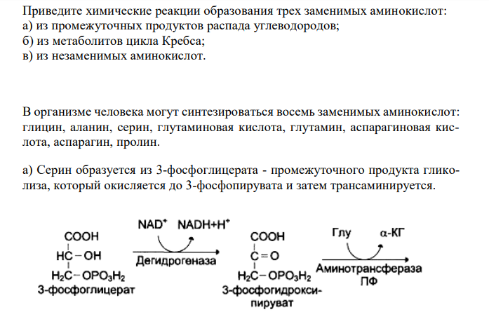  Приведите химические реакции образования трех заменимых аминокислот: а) из промежуточных продуктов распада углеводородов; б) из метаболитов цикла Кребса; в) из незаменимых аминокислот. 