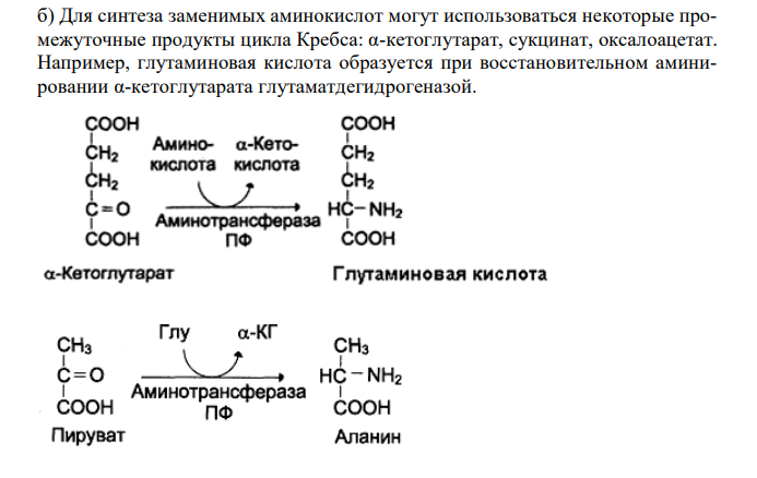  Приведите химические реакции образования трех заменимых аминокислот: а) из промежуточных продуктов распада углеводородов; б) из метаболитов цикла Кребса; в) из незаменимых аминокислот. 