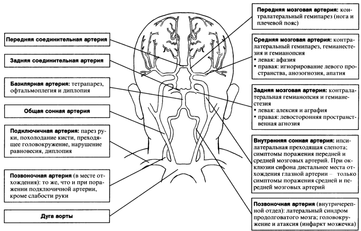 Феноменология нейропсихологических нарушений при сосудистых и атрофических деменциях - Нарушение функций мозга при болезни Альцгеймера с участием функциональных блоков I и II
