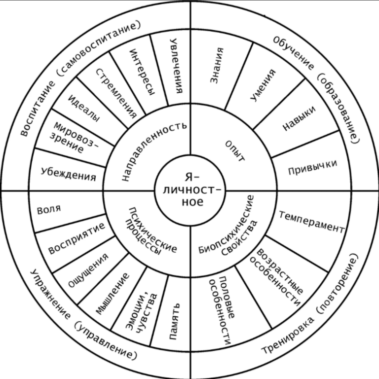 Характер круг. Карта личности психология. Психологические схемы. Психологические схемы личности. Схема развития личности.
