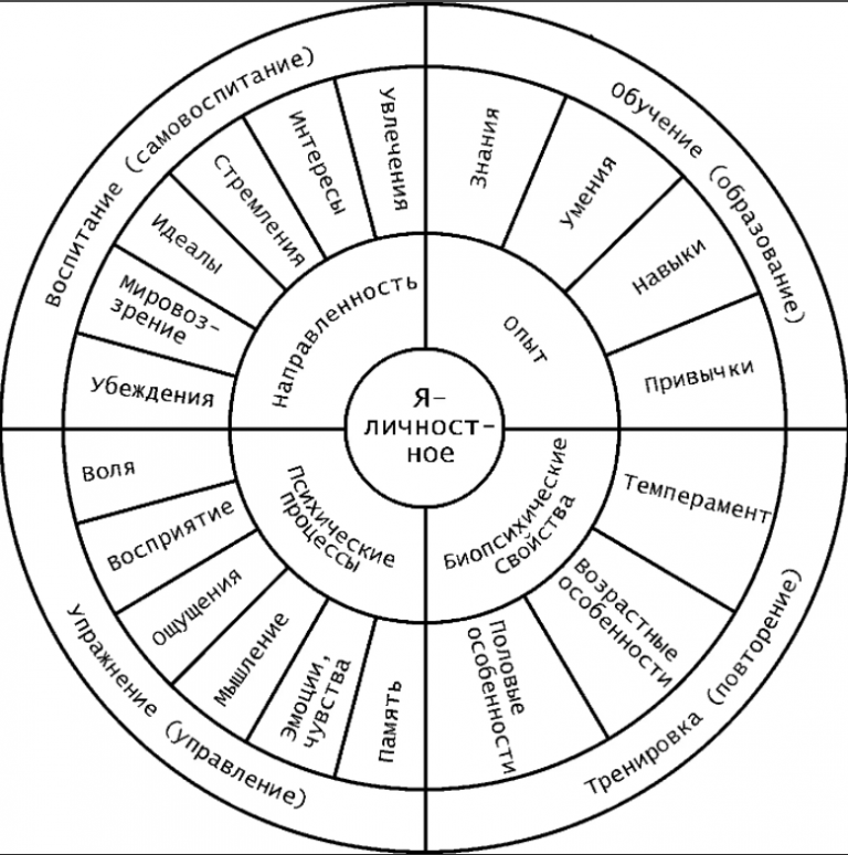 Эволюция жж ресурсы. Карта личности психология. Целостная структура личности. Круг в психологии личности. Схемы рисунки структуры личности.