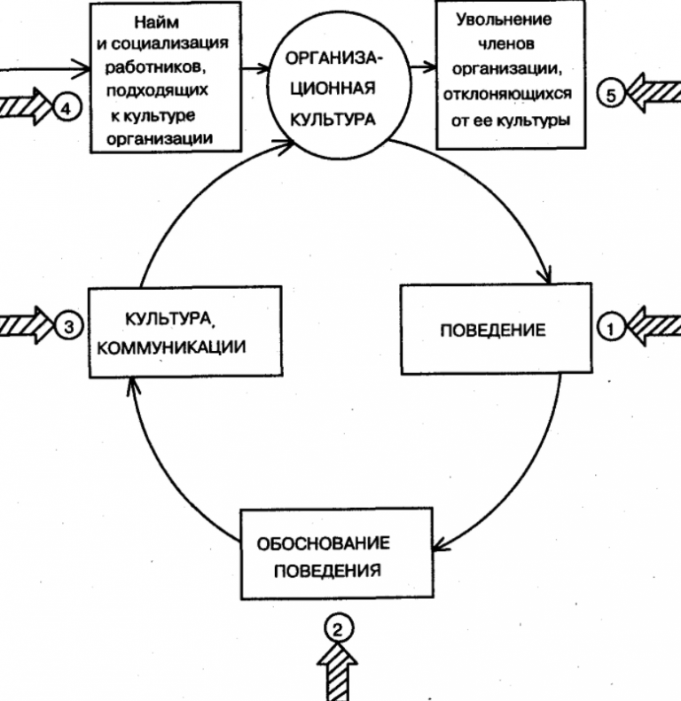 Влияние культуры на предприятие. Модель сате организационная культура. Модель воспроизводства организационной культуры (по в. сате).. Содержание отношений организационной культуры (по в. сате). Модели организационной культуры “7d”:.