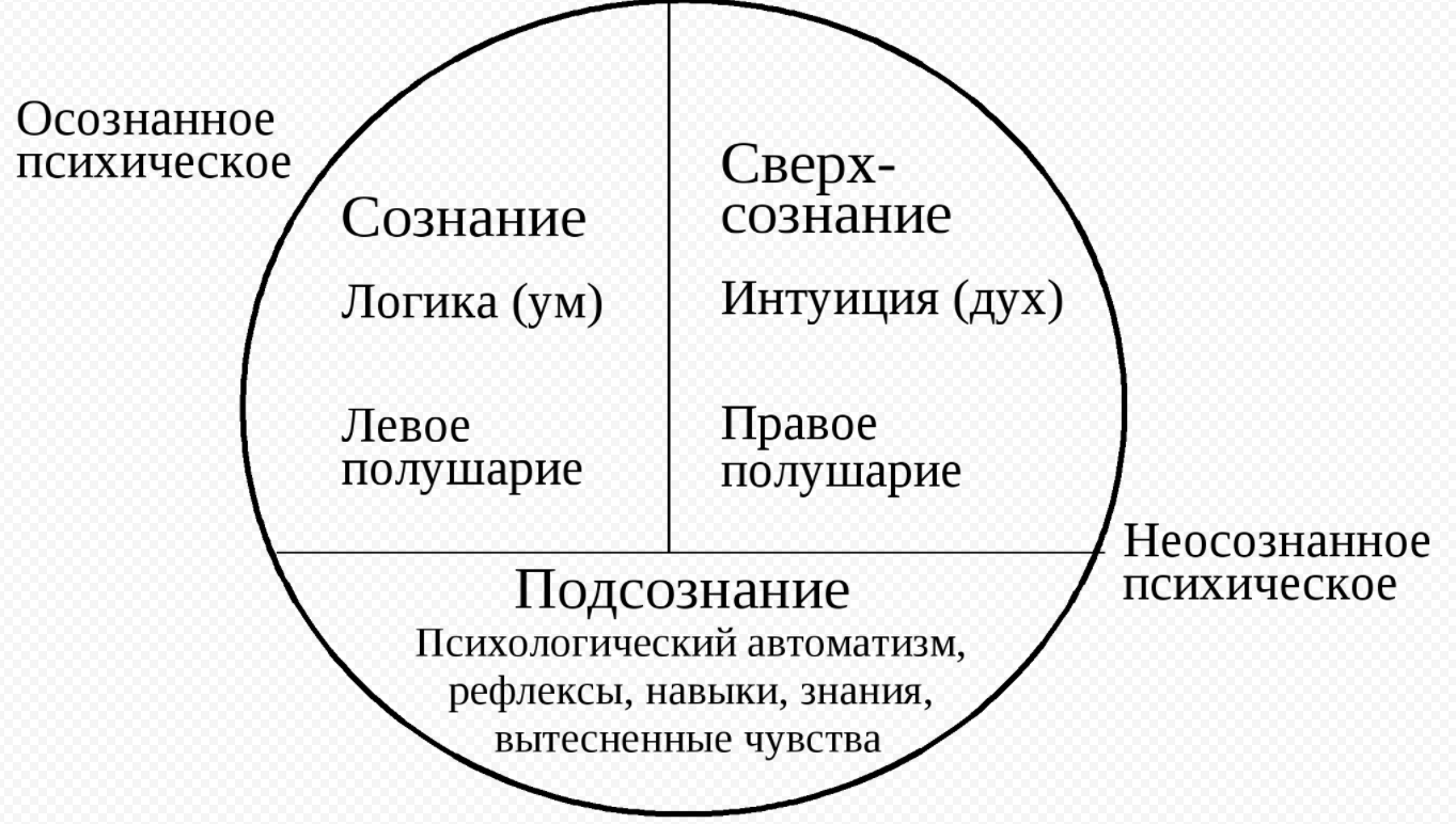 Соотношение сознательного и неосознаваемого в психике человека - Происхождение сознания