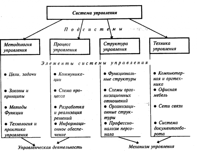 Под чьим руководством изучалось развитие интеллектуал функций и нейродинамические характеристики