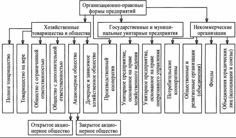 Организационно правовые формы план егэ