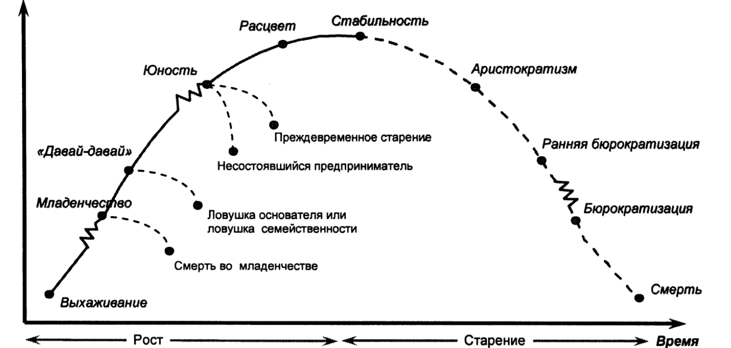 Жизненный цикл организации и ее конкурентное поведение - Этапы жизненного цикла организации