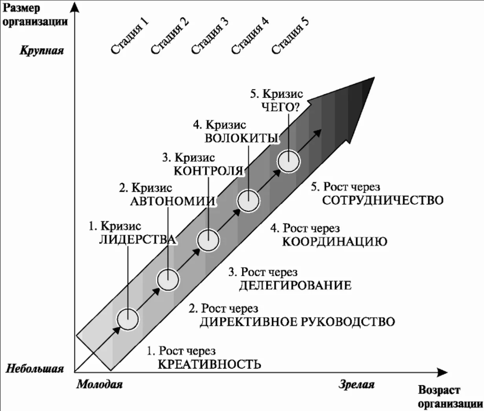 Жизненный цикл организационной структуры - Модели жизненного цикла