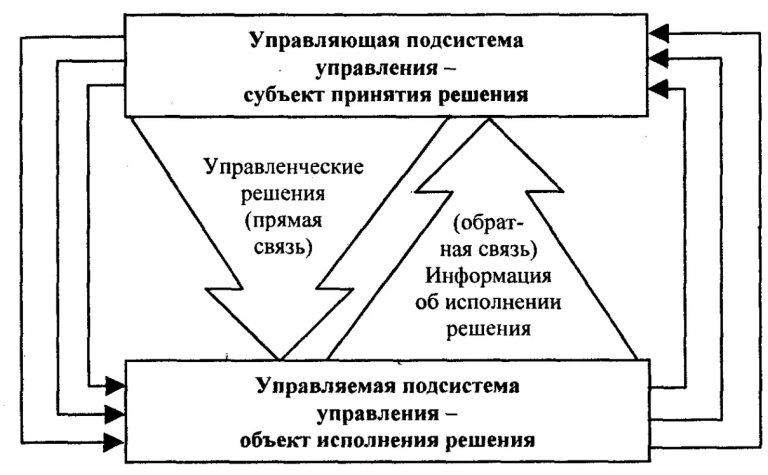 Комплексность планов предусматривает ветеринария