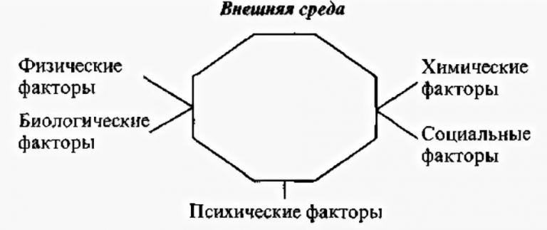 Внешняя среда организма. Внешняя среда и ее воздействие на организм человека. Воздействие факторов внешней среды на организм человека. Факторы внешней среды и влияние среды на человека. Влияние факторов внешней среды на человека.