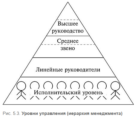 Формы иерархии в организации - Иерархия управления в организации
