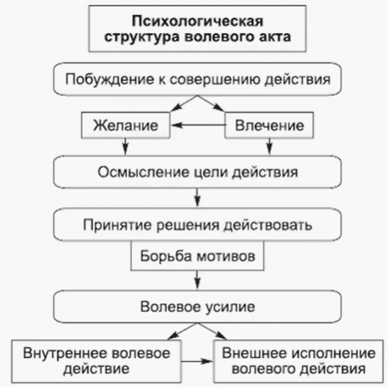 Прочитайте 57 воля эмоции внимание укажите этапы волевого действия на схеме