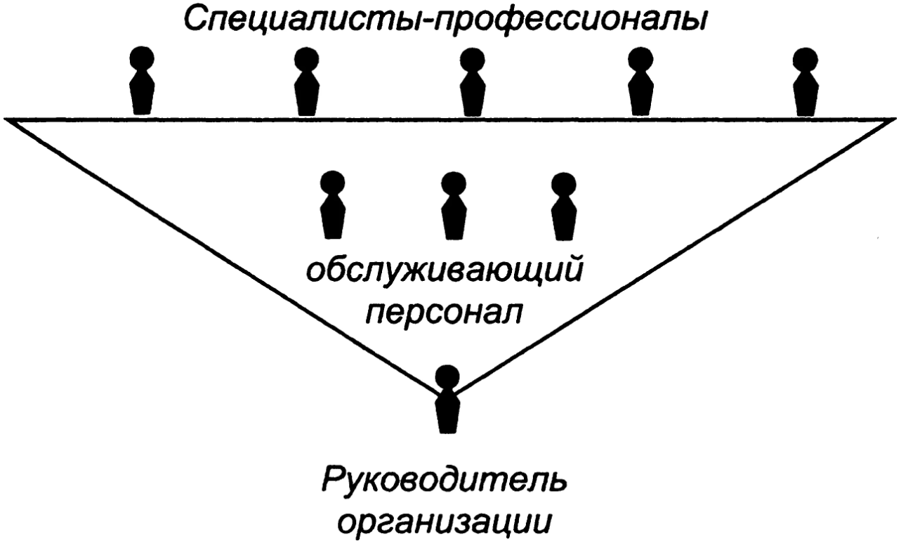 Иерархия руководителей организации - Функции организации труда