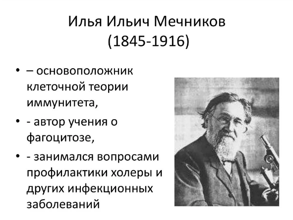 Илья Ильич Мечников, русский биолог, культурный деятель, мыслитель - история жизни и научные свершения