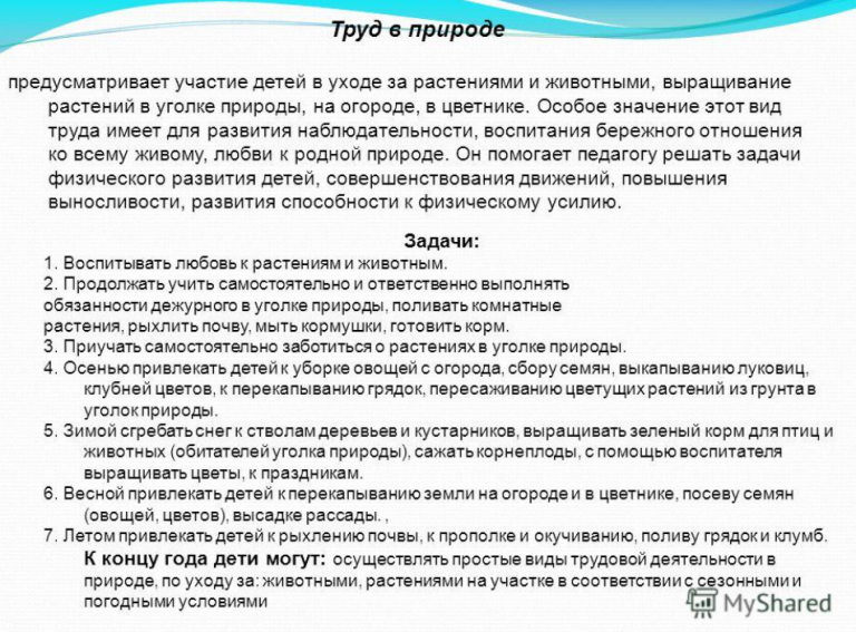 Конспект труд в природе