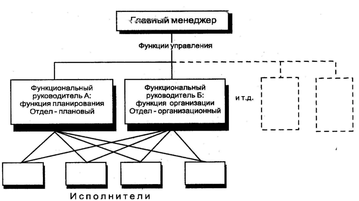 Линейная и дивизиональная организационные структуры - Функциональная структура