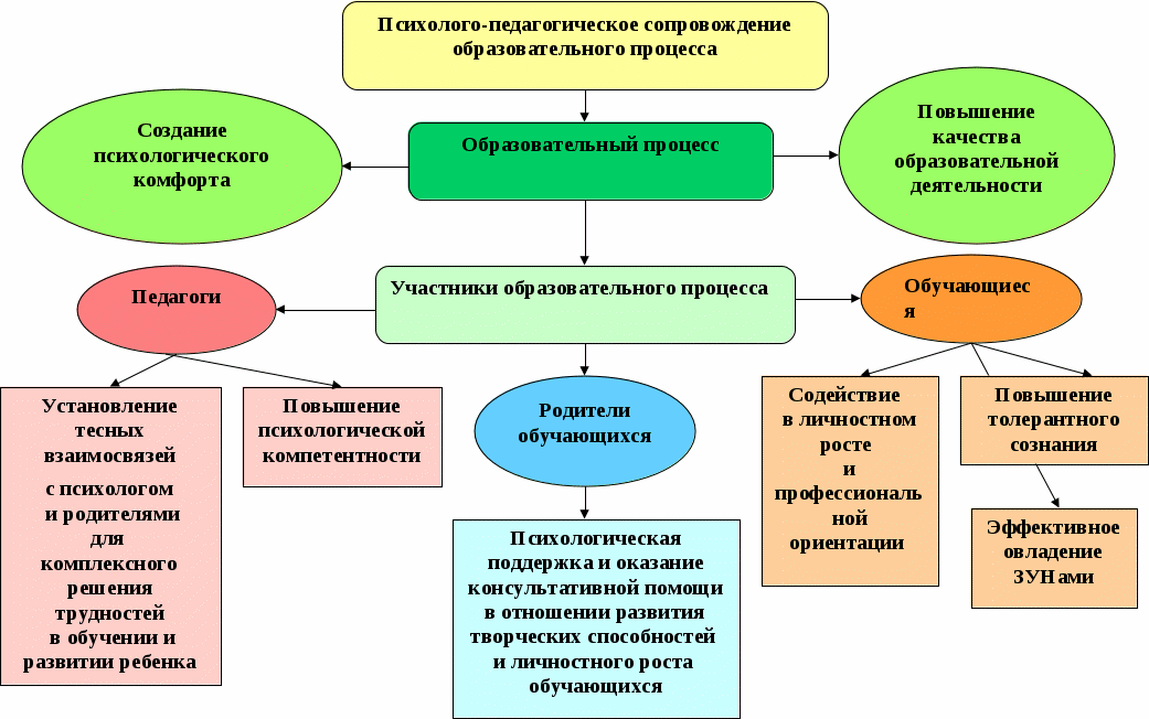 Деятельность направленная на создание условий. Психолого-педагогическое сопровождение образовательного процесса. Субъекты психолого-педагогического сопровождения в ДОУ. Модель психолого-педагогического сопровождения в ДОУ. Педагогическое взаимодействие в ДОУ.