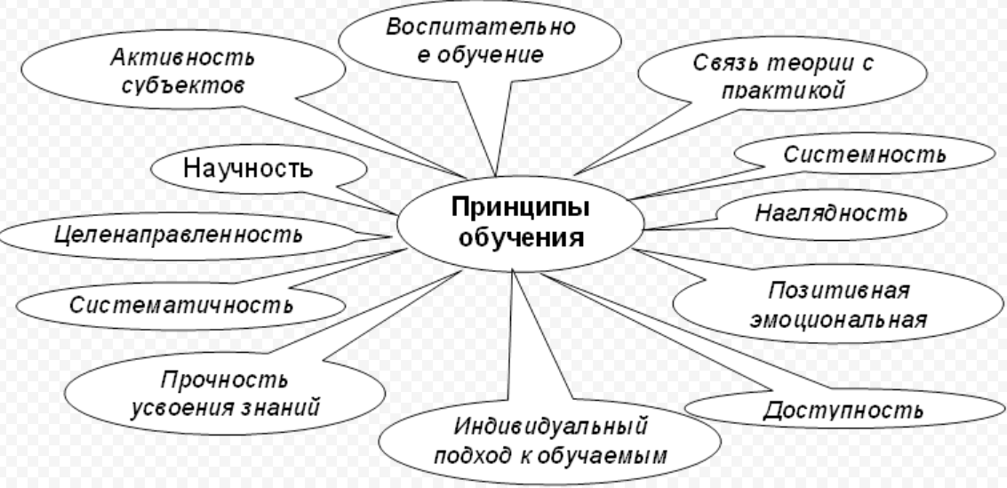 Принципы обучения в педагогике. Кластер основные принципы обучения. Принципы обучения схема. Принципы обучения в педагогике схема. Составить схему принципы обучения.