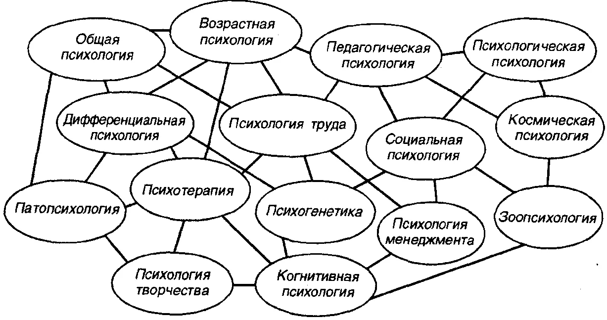 Схема отражающую связь психологии развития и возрастной психологии с другими науками