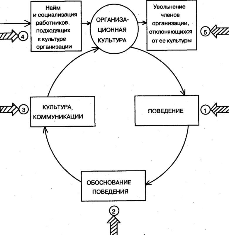 Модели организационной культуры организации - Характеристики организационной культуры