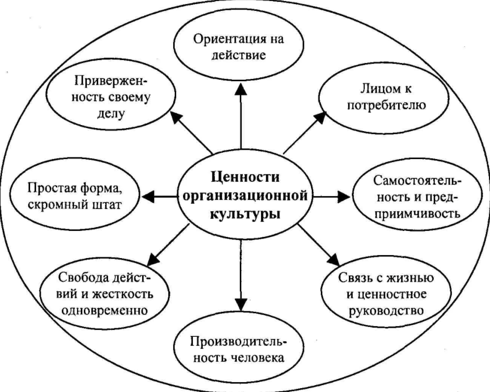 Модели организационной культуры - Функции и содержание организационной культуры