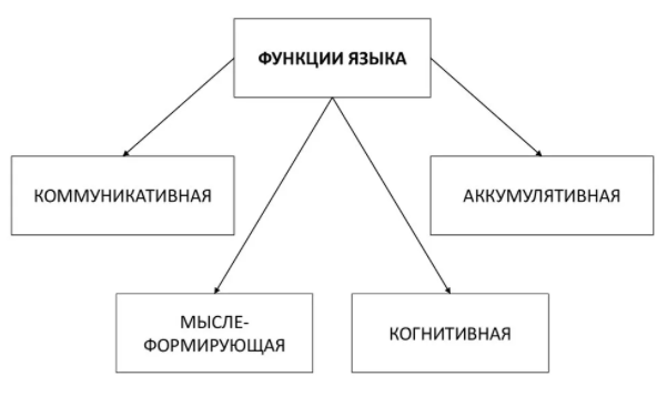 Развитие лингвистического мышления на уроках русского языка в 5-6 классах