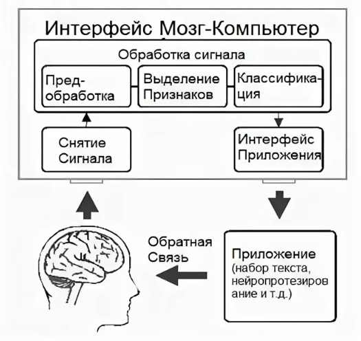 Мыслящий мозг и компьютер. (Проблема моделирования творческих процессов) - Программисткие технологии