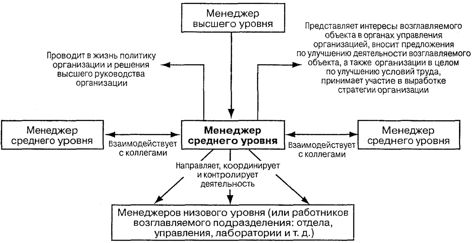 Особенности управления организациями в современных условиях и пути его совершенствования - Организационная структура компании