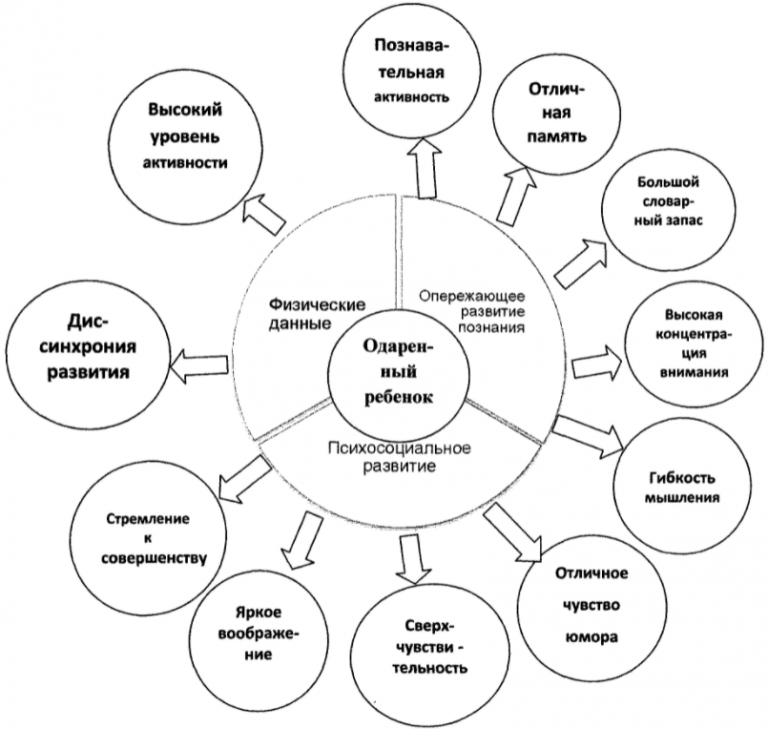 Курсовая дошкольников. Виды одаренности схема. Кластер на тему одаренный ребенок. Одаренные дети схема. Одаренный ребенок схема.
